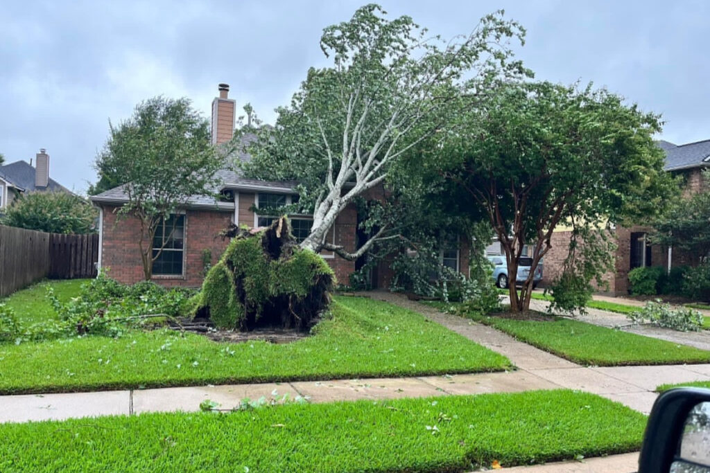 hurricane beryl damage tree on house